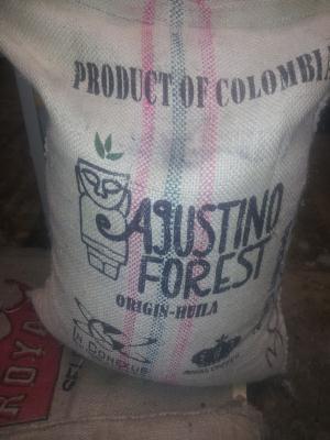 Colombia Agustino Forest