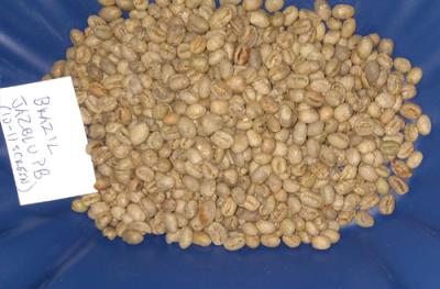 Brazil Jazblu Peaberry 2023 washed process