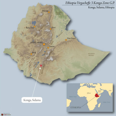 Ethiopia's Konga Zone produces limited quantities of superior Yirgacheffe coffee