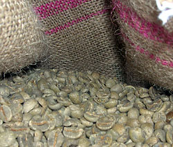 Ethiopia Yirgacheffe Gr. 2 Adulina