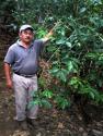 Mexico is all about community and I'm very happy to be part of the extended family roasting this excellent offering from the Chiapas producer group Enjambre Cafetalero. 172 smallholder farmers in the ...