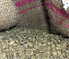 Lovin it. Two special Kenya AAs plus Flores Wolo Laga Lizu and Papua New Guinea Kiam.